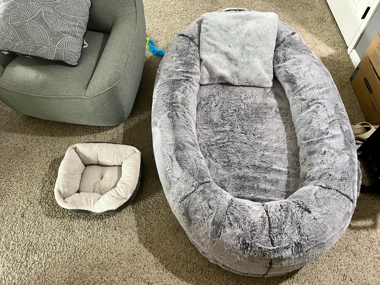 The Plufl next to my cat&rsquo;s bed for scale.